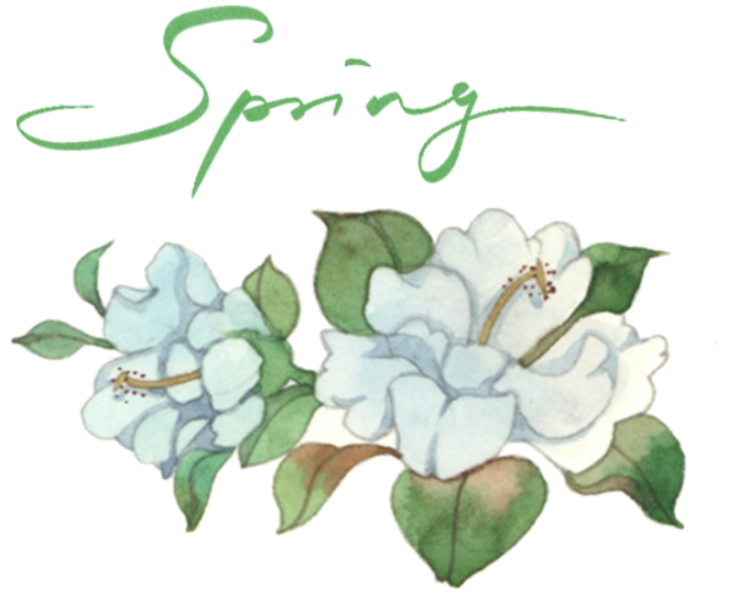 1743922285794891.jpg 1743922279441.jpg