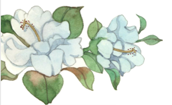 1743922412671081.jpg 1743922356994.jpg